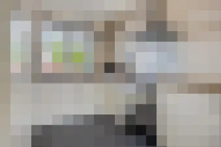 Prinsenhof 17 Chaam thumbnail 7