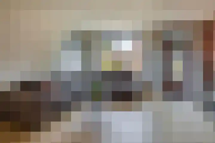Prinsenhof 17 Lekkerkerk thumbnail 11