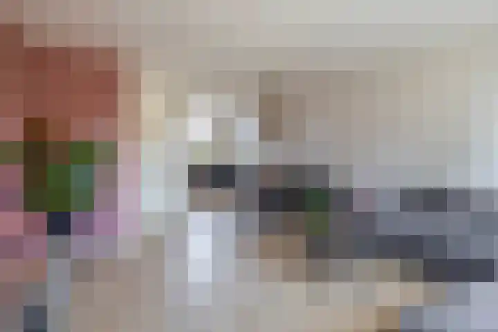Prinsenhof 17 Lekkerkerk thumbnail 13