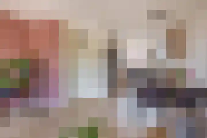 Prinsenhof 17 Lekkerkerk thumbnail 14