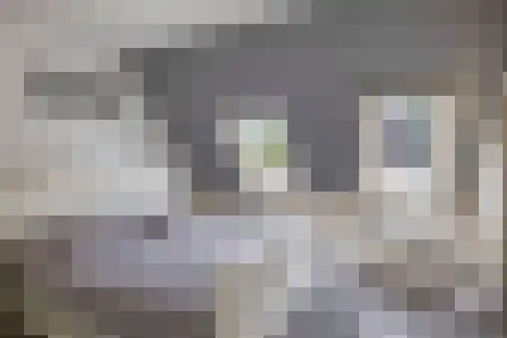 Prinsenhof 17 Lekkerkerk thumbnail 21