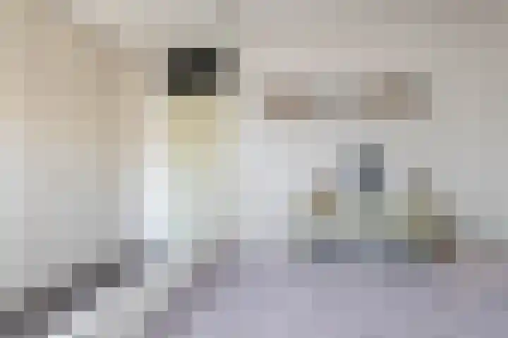 Prinsenhof 17 Lekkerkerk thumbnail 22