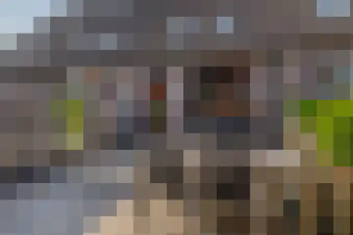 Prinsenhof 17 Lekkerkerk thumbnail 32