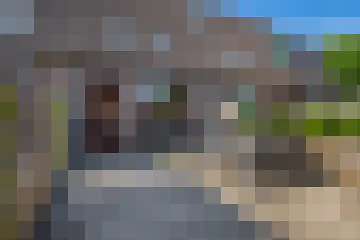Prinsenhof 17 Lekkerkerk thumbnail 4