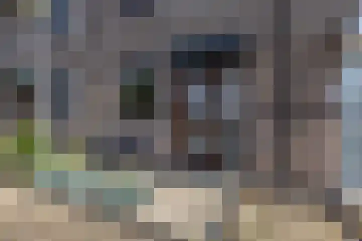 Prinsenhof 17 Lekkerkerk thumbnail 8