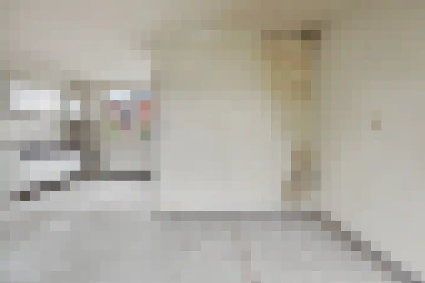Prinsenhof 18 Capelle aan den IJssel thumbnail 19