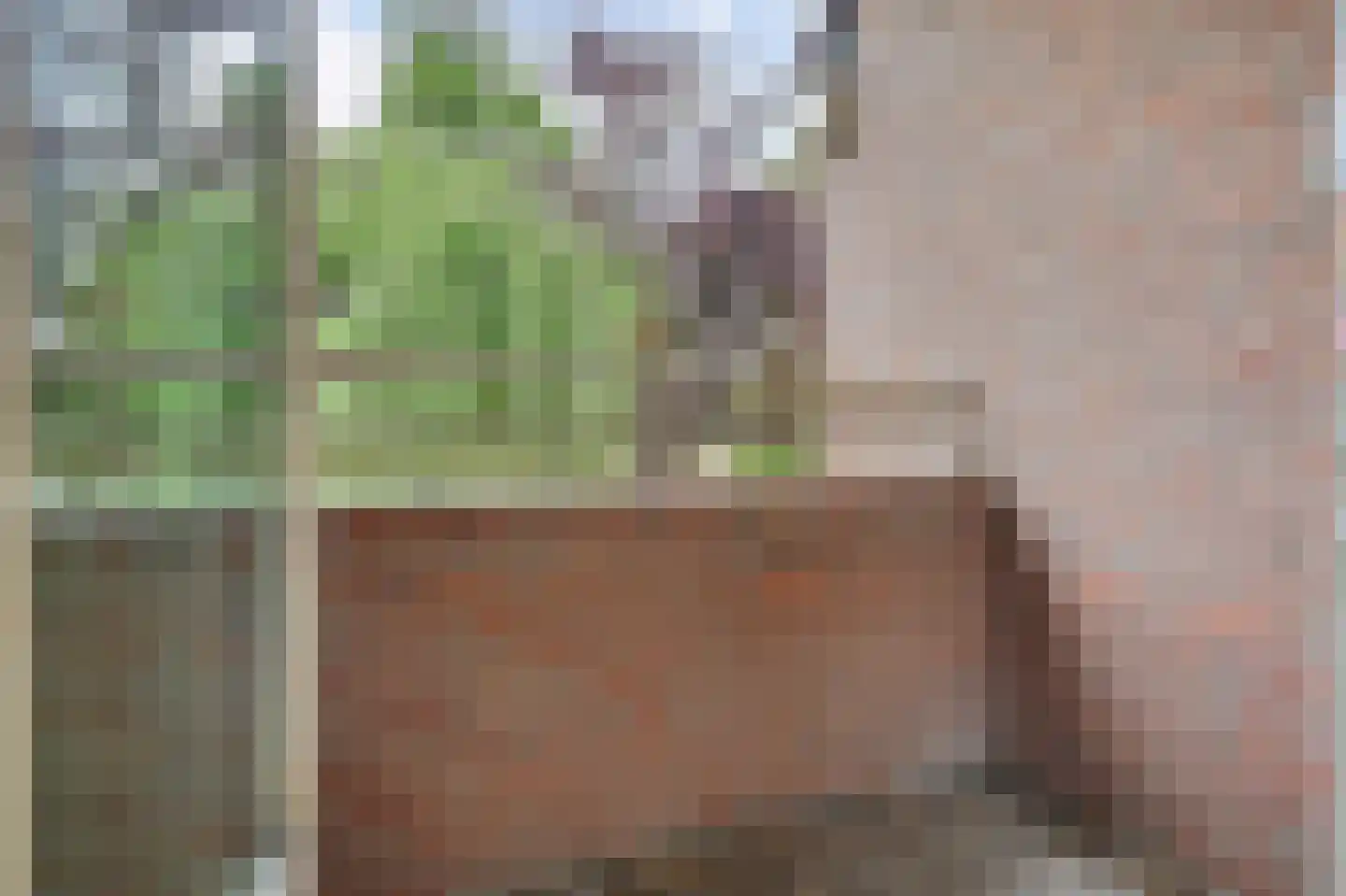 Prinsenhof 18 Capelle aan den IJssel thumbnail 28