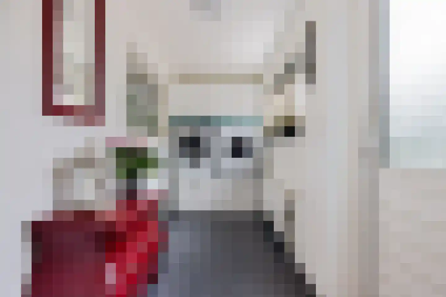 Prinsenhof 18 Roodeschool thumbnail 15