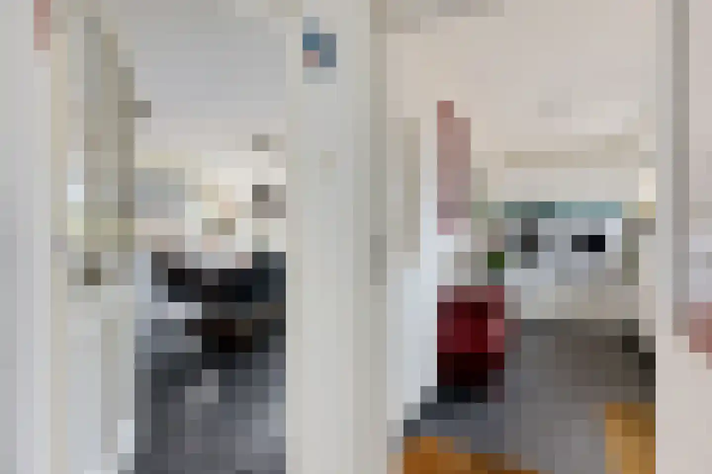 Prinsenhof 18 Roodeschool thumbnail 17