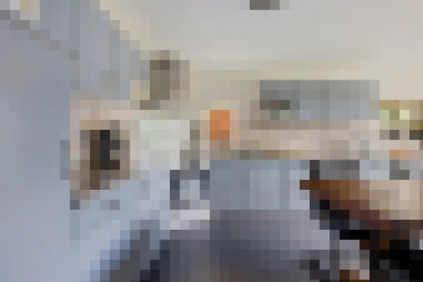 Prinsenhof 18 Roodeschool thumbnail 18