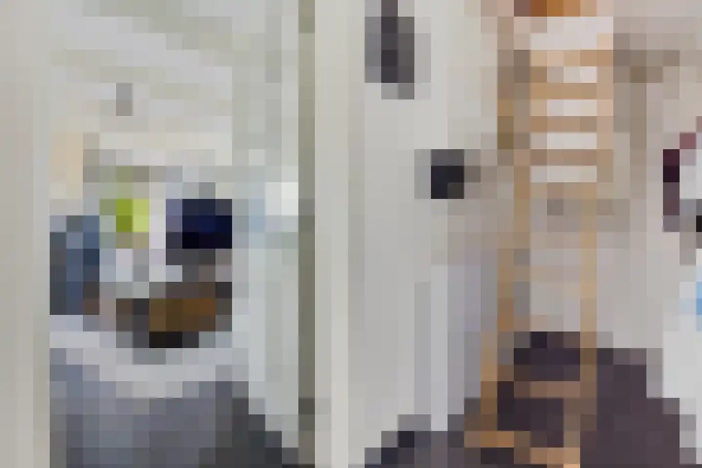 Prinsenhof 18 Roodeschool thumbnail 37