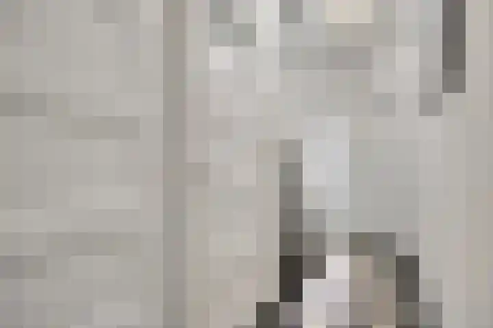 Prinsenhof 2 Eindhoven thumbnail 12
