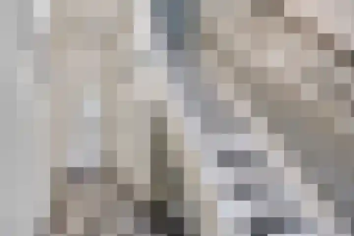 Prinsenhof 2 Eindhoven thumbnail 13