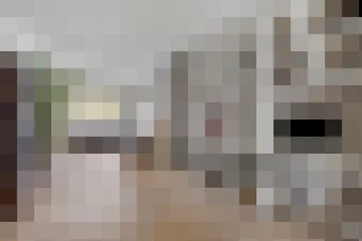 Prinsenhof 2 Eindhoven thumbnail 14