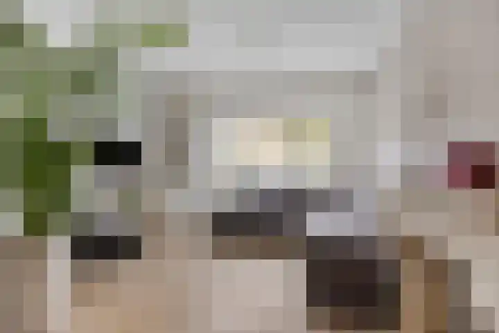 Prinsenhof 2 Eindhoven thumbnail 15