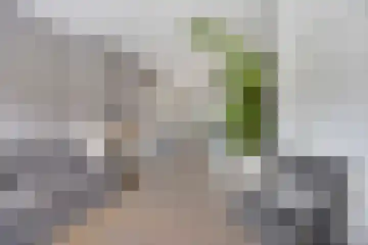 Prinsenhof 2 Eindhoven thumbnail 16
