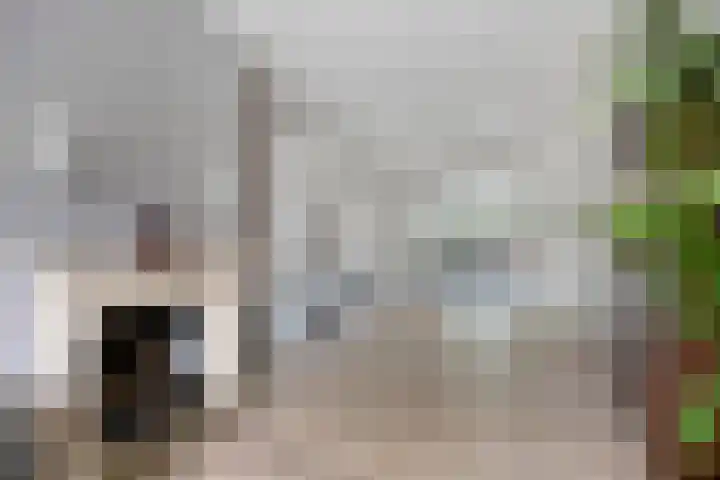 Prinsenhof 2 Eindhoven thumbnail 17