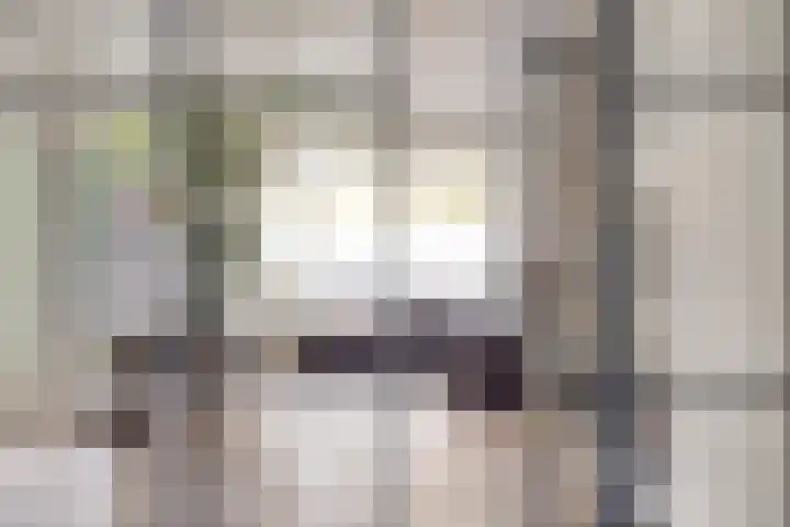 Prinsenhof 2 Eindhoven thumbnail 20