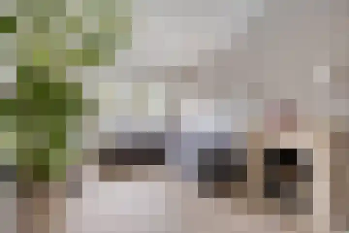 Prinsenhof 2 Eindhoven thumbnail 22