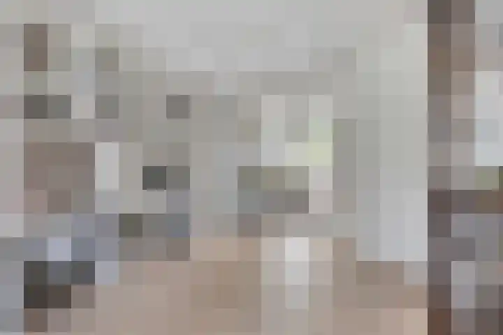 Prinsenhof 2 Eindhoven thumbnail 24