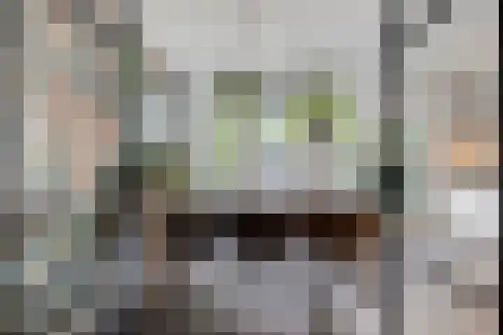 Prinsenhof 2 Eindhoven thumbnail 25