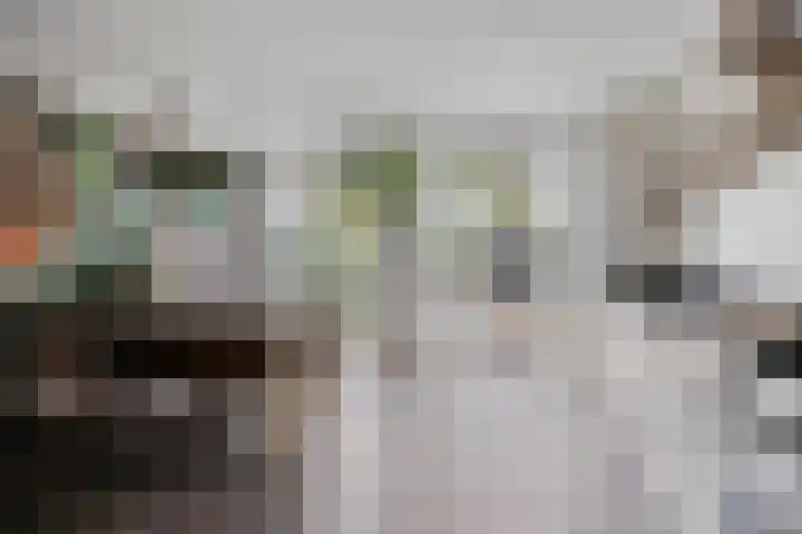 Prinsenhof 2 Eindhoven thumbnail 28