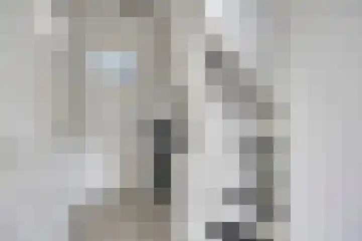 Prinsenhof 2 Eindhoven thumbnail 34