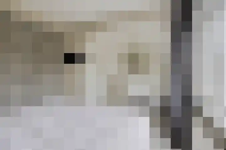 Prinsenhof 2 Eindhoven thumbnail 36
