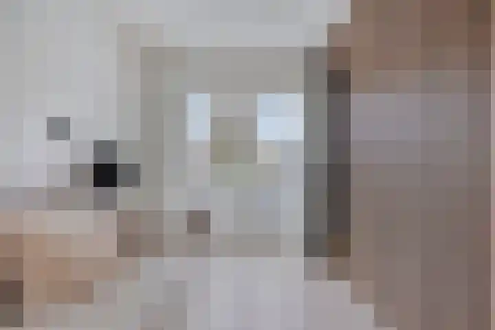 Prinsenhof 2 Eindhoven thumbnail 38
