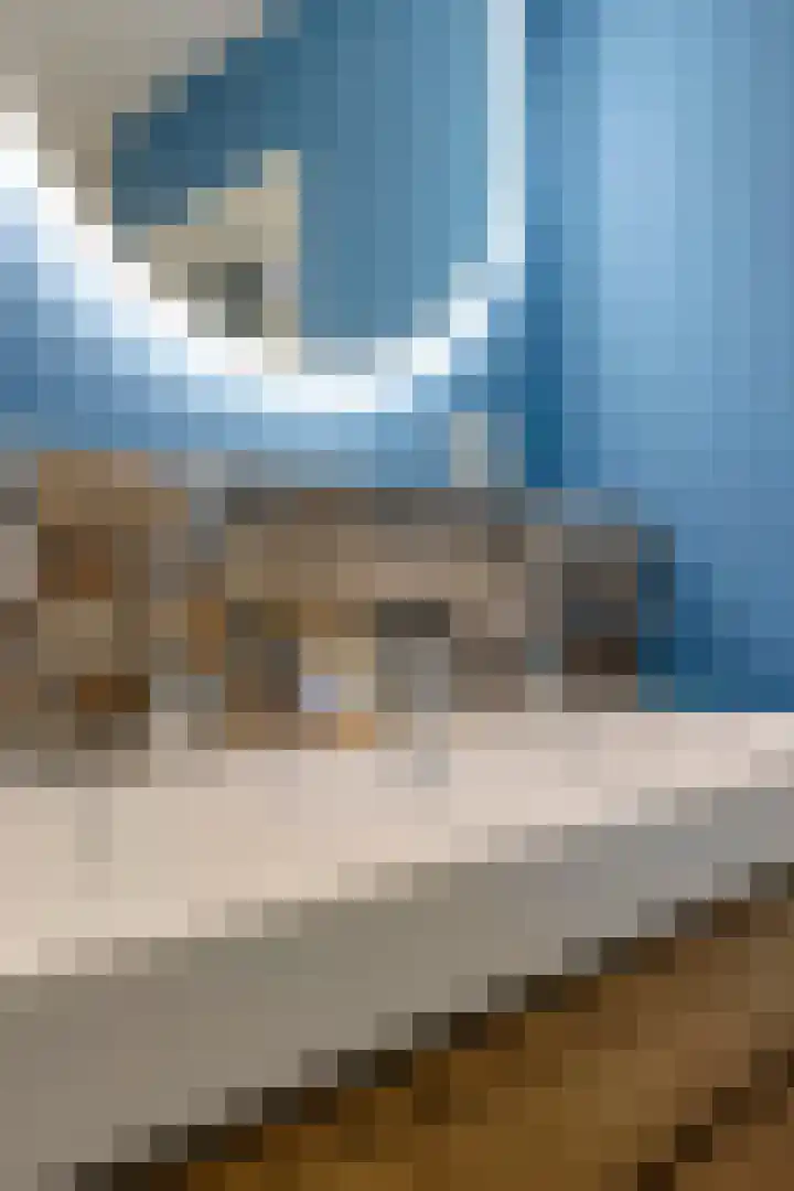 Prinsenhof 2 Eindhoven thumbnail 43