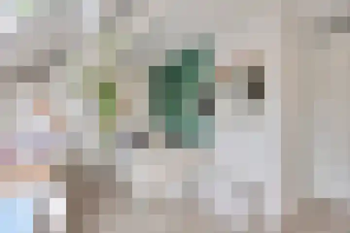 Prinsenhof 2 Eindhoven thumbnail 47