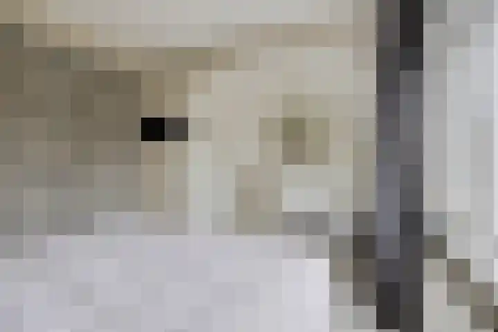 Prinsenhof 2 Eindhoven thumbnail 5