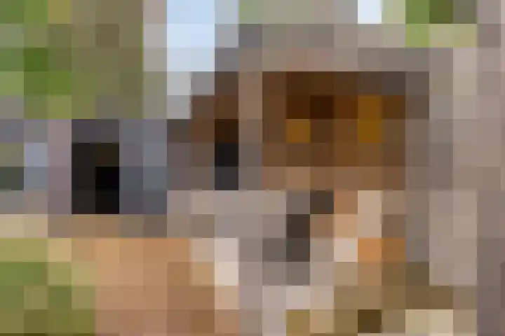 Prinsenhof 2 Eindhoven thumbnail 52