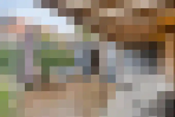 Prinsenhof 2 Eindhoven thumbnail 54