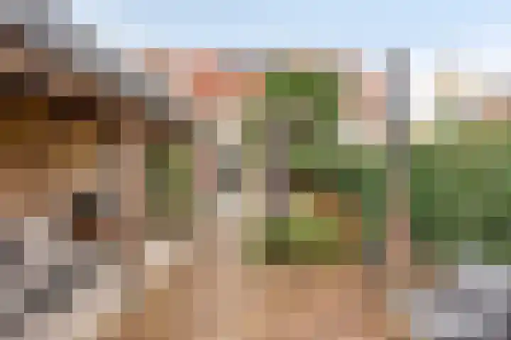 Prinsenhof 2 Eindhoven thumbnail 55