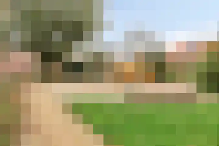 Prinsenhof 2 Eindhoven thumbnail 58