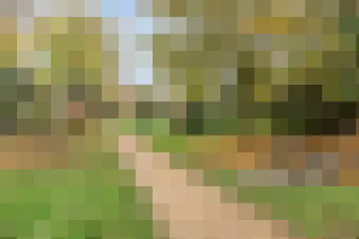 Prinsenhof 2 Eindhoven thumbnail 59