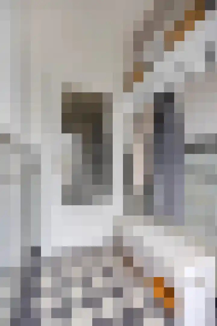 Prinsenhof 2 Eindhoven thumbnail 8