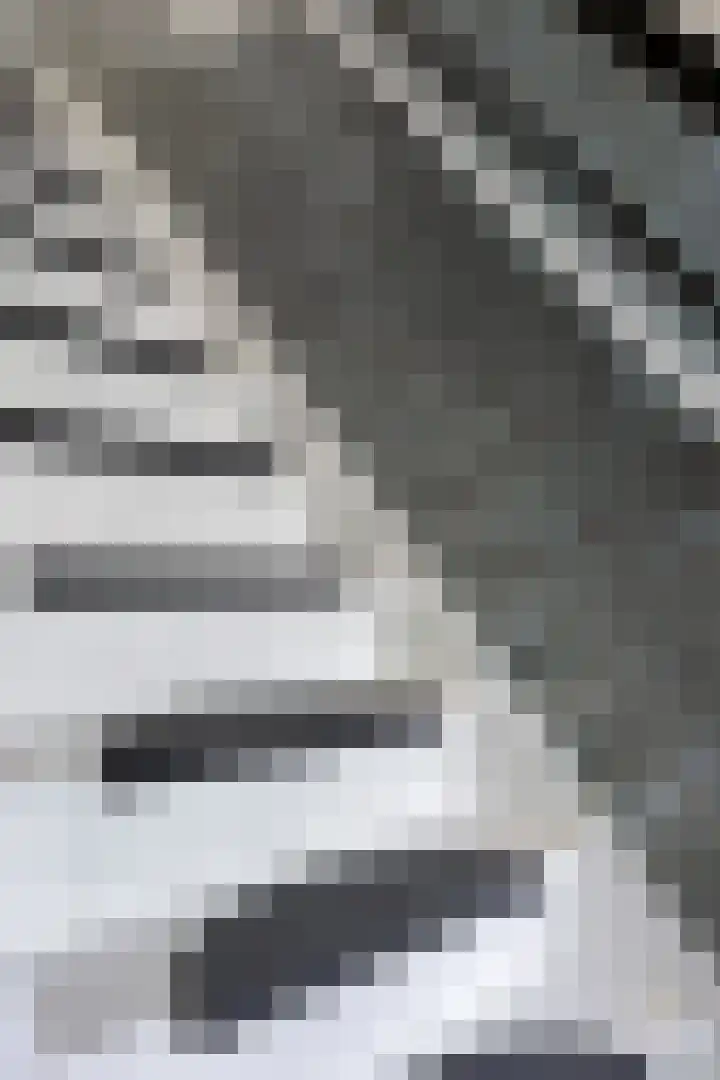 Prinsenhof 2 Eindhoven thumbnail 9