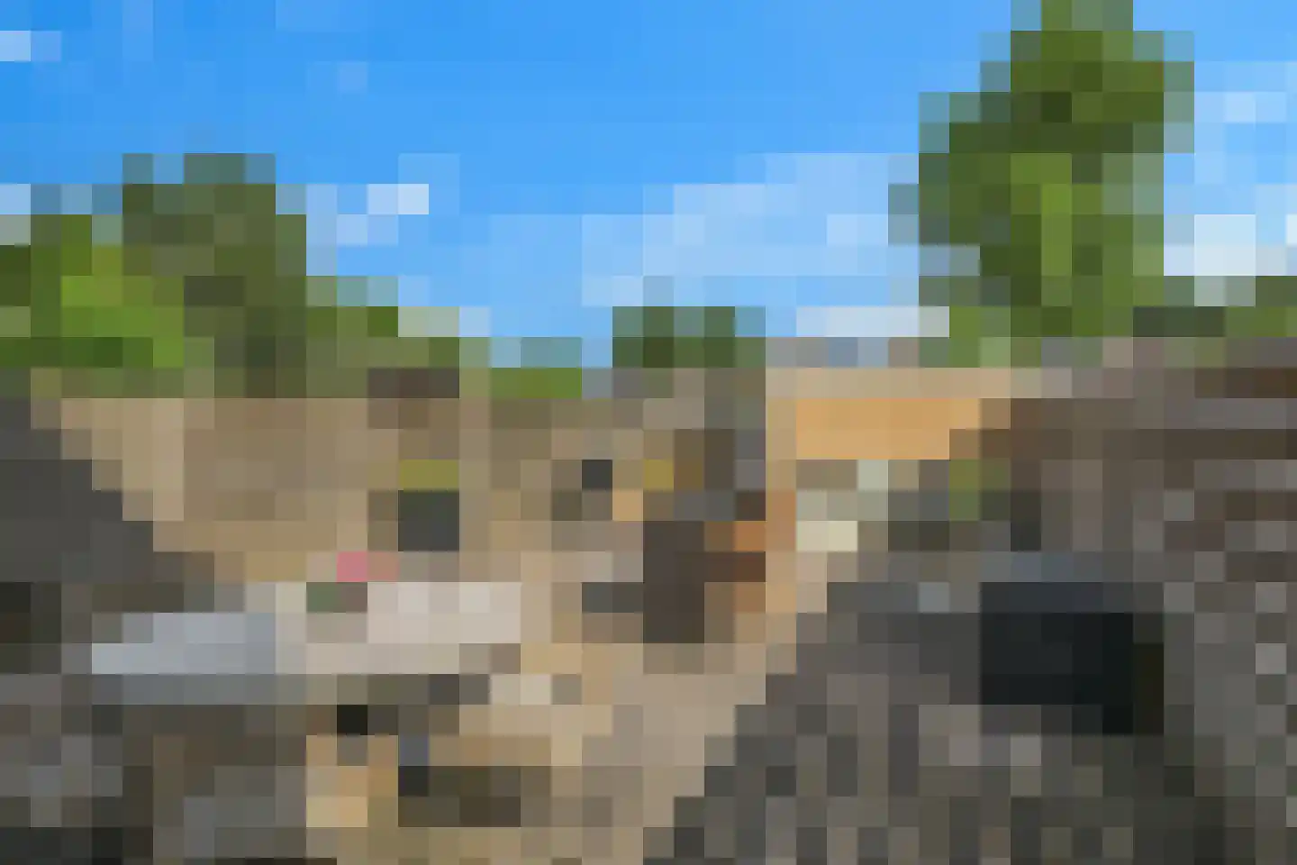Prinsenhof 2 Hoevelaken thumbnail 31