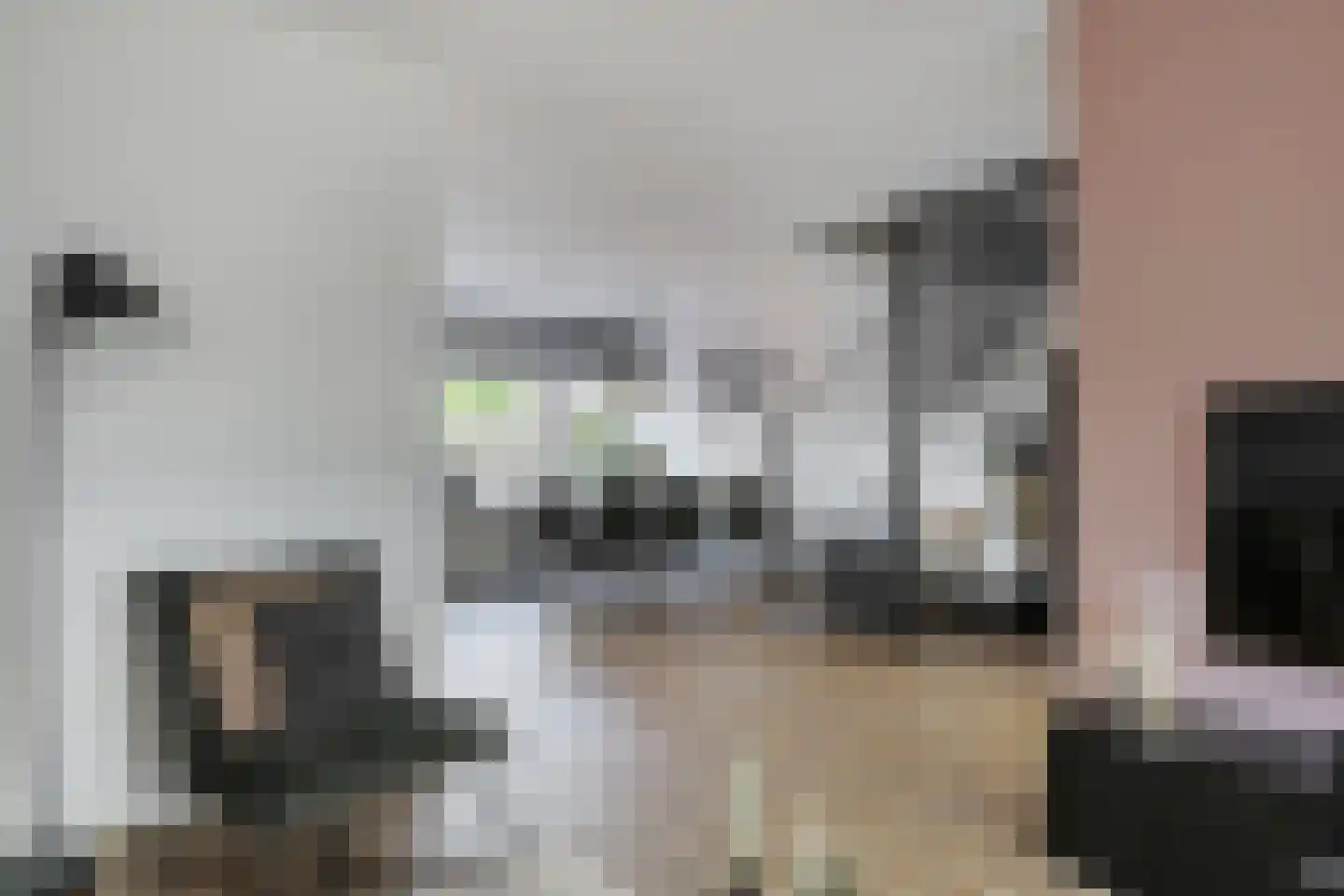 Prinsenhof 2 Hoevelaken thumbnail 4