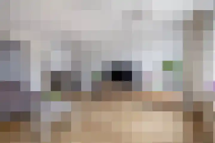 Prinsenhof 2 Lekkerkerk thumbnail 13