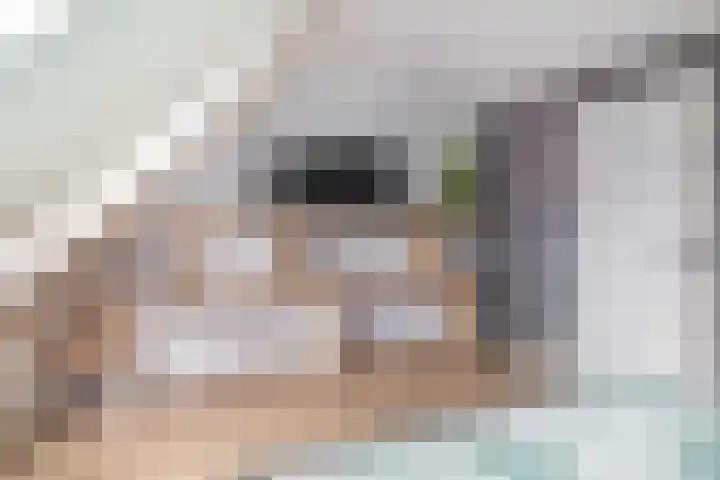 Prinsenhof 2 Lekkerkerk thumbnail 21