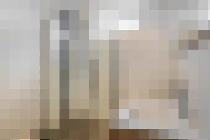 Prinsenhof 2 Lekkerkerk thumbnail 22