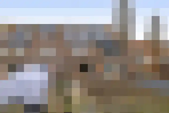 Prinsenhof 2 Lekkerkerk thumbnail 34