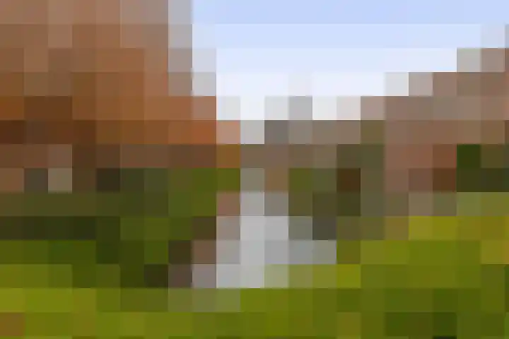 Prinsenhof 2 Lekkerkerk thumbnail 36