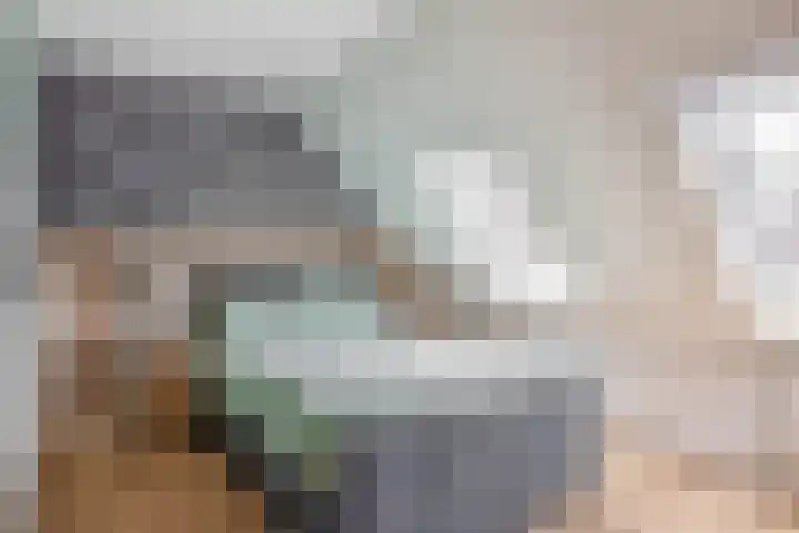 Prinsenhof 2 Lekkerkerk thumbnail 4