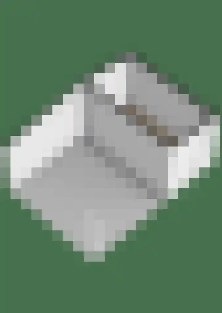 Prinsenhof 2 Lekkerkerk thumbnail 42