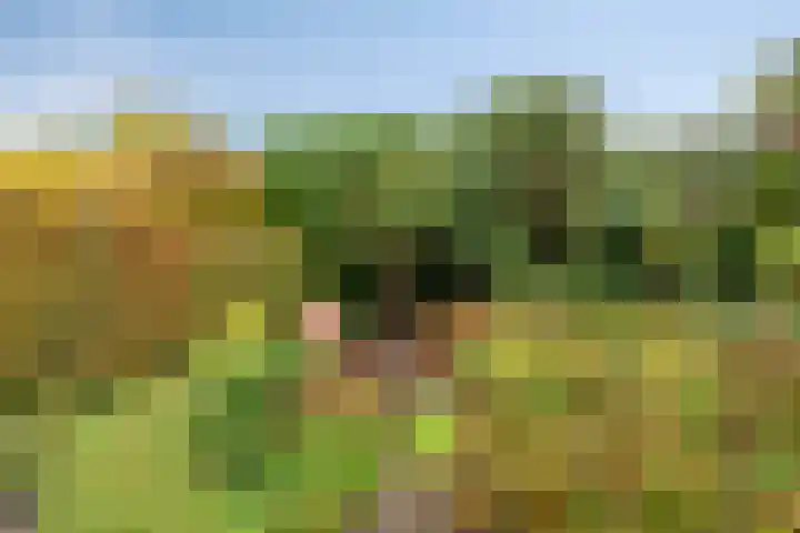 Prinsenhof 20 Apeldoorn thumbnail 29