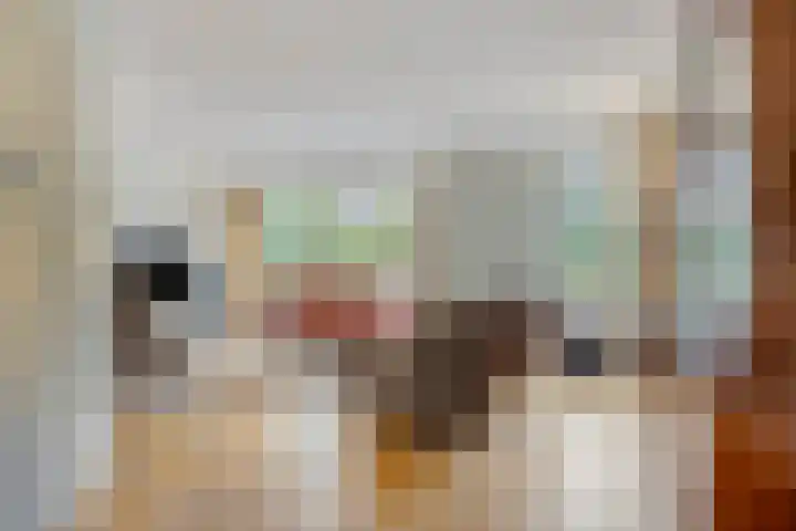 Prinsenhof 20 Apeldoorn thumbnail 4